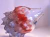 Ans Bakker