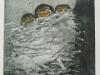Barbara Wichers Hoeth