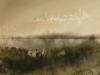 Wil Friesen